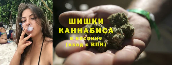 спайс Гусев
