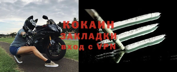 спайс Гусев