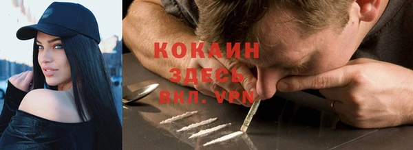спайс Гусев