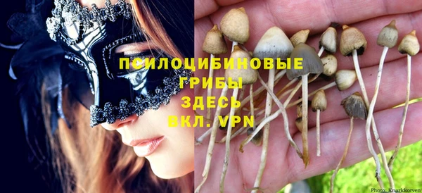 спайс Гусев