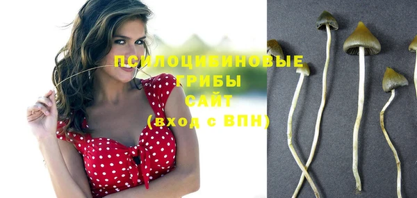 спайс Гусев