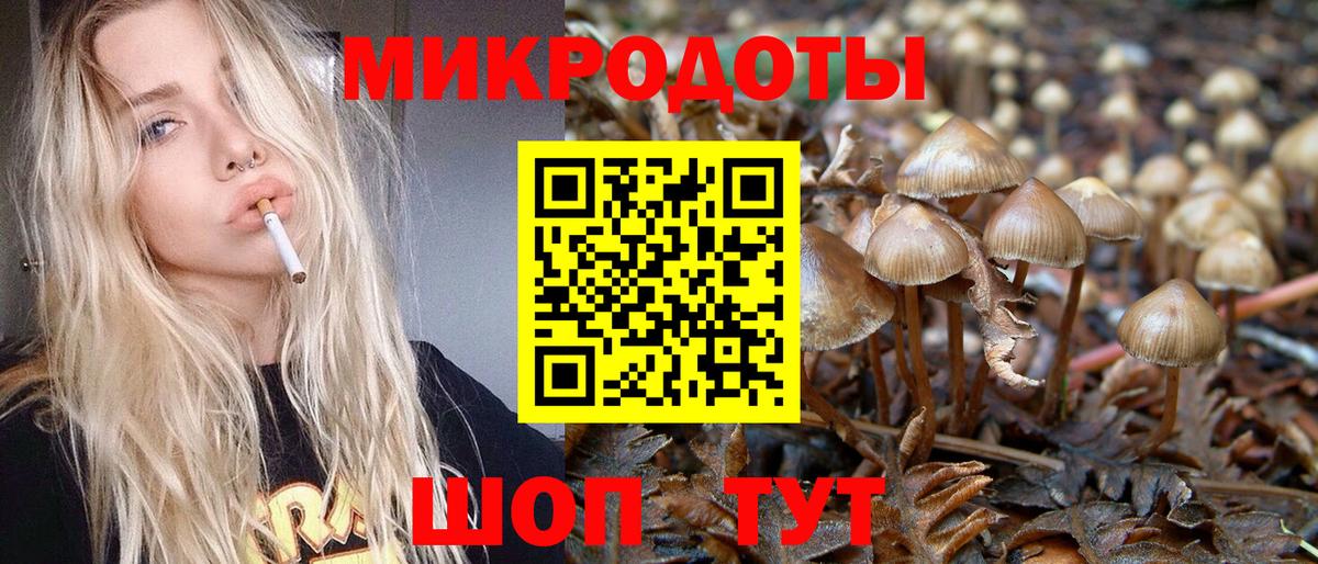Псилоцибиновые грибы Psilocybine cubensis Наро-Фоминск