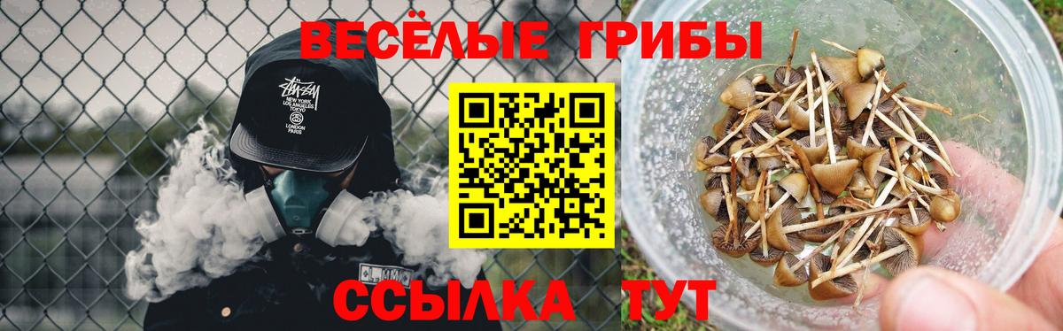 Наро-Фоминск  Галлюциногенные грибы ЛСД  Вход с VPN 